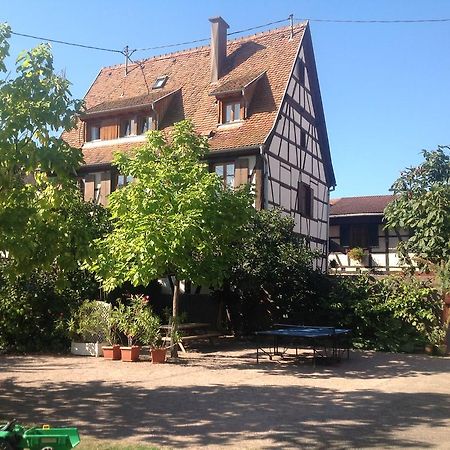 Apartament La Cour Zaepffel Dambach Zewnętrze zdjęcie