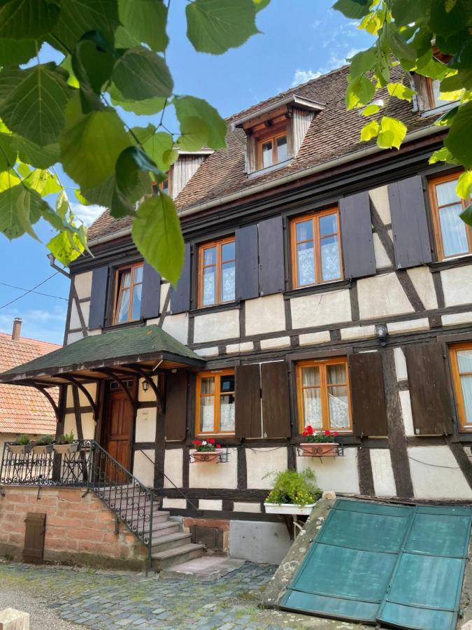 Apartament La Cour Zaepffel Dambach Zewnętrze zdjęcie