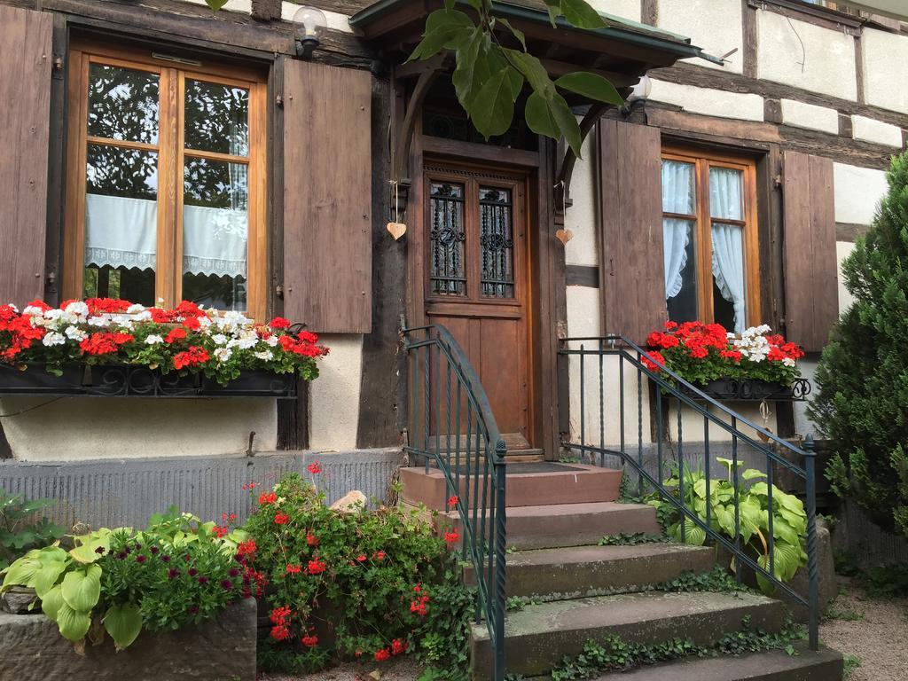 Apartament La Cour Zaepffel Dambach Zewnętrze zdjęcie