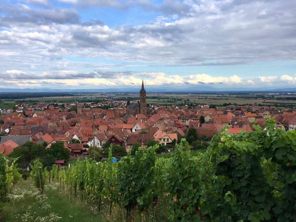 Apartament La Cour Zaepffel Dambach Zewnętrze zdjęcie
